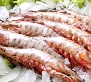 食品饮料 水产品及制品 冷冻水产品 对虾 冷冻海鲜 海虾水产品 东山
