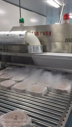 速冻先锋 广州极速-196度超低温隧道式面点烘焙液氮速冻机