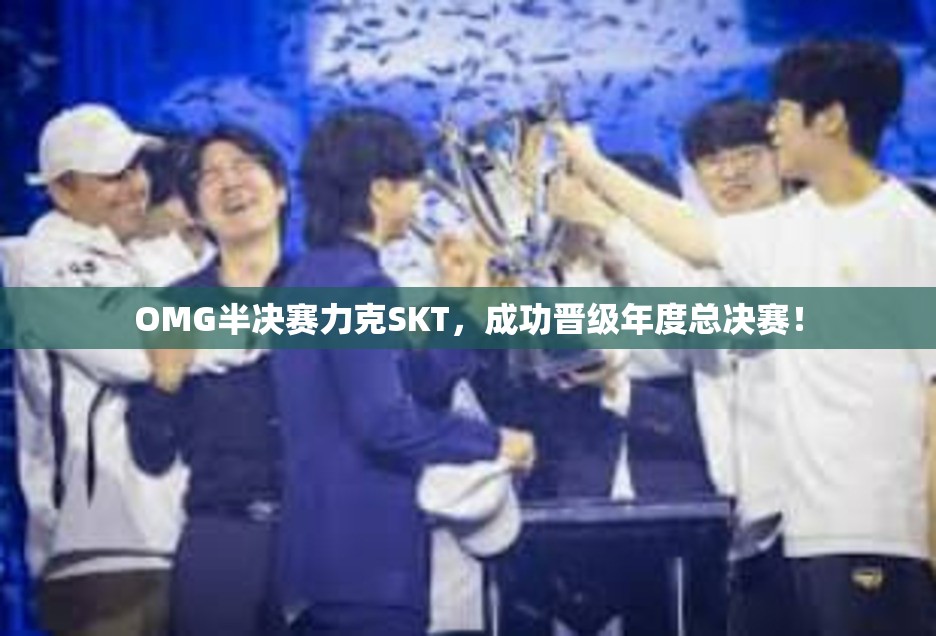 OMG半决赛力克SKT，成功晋级年度总决赛！