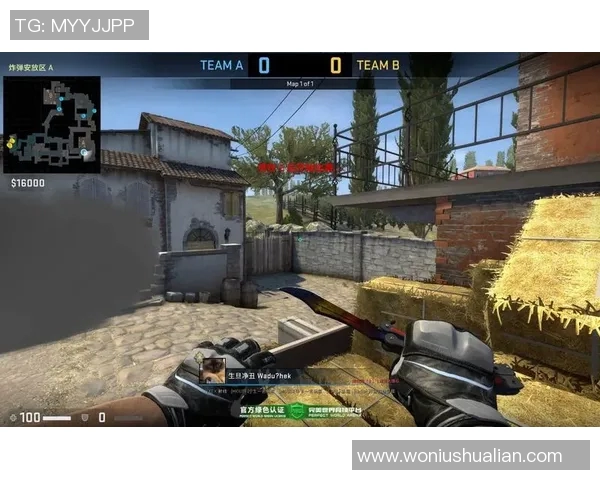 csgo电竞比赛视频-电击海棠文坛巨大的魅力,CSGO电竞比赛视频的魅力与影响-csgo电竞比赛视频